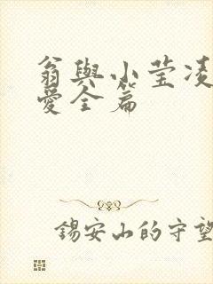 翁与小莹凌晨欢爱全篇