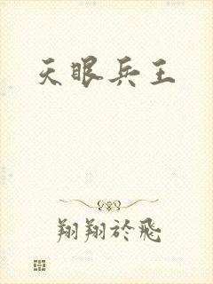 天眼兵王