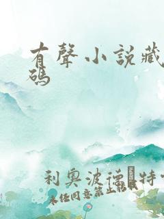 有声小说藏地密码