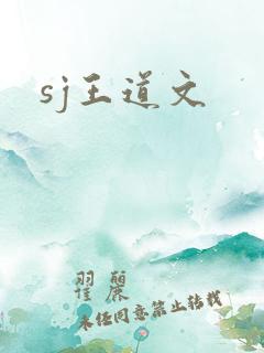 sj王道文
