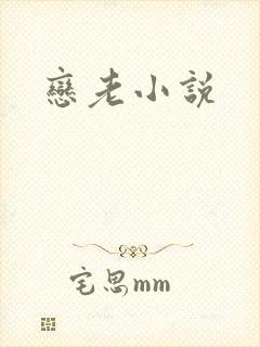 恋老小说