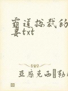 霸道总裁的挂名妻txt