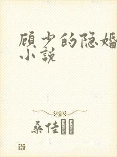 顾少的隐婚罪妻小说