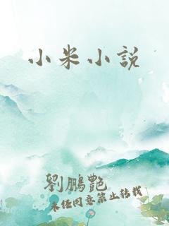 小米小说