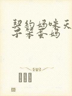 契约妈咪天才儿子笨蛋妈