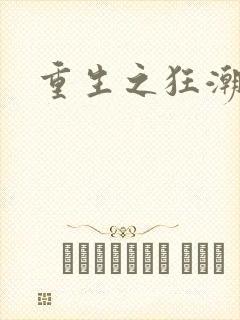 重生之狂潮