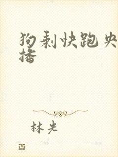 狗剩快跑央八首播