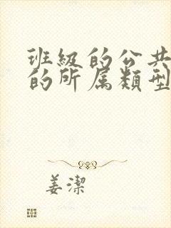 班级的公共小0的所属类型