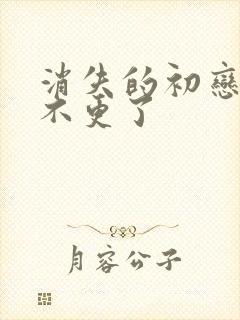 消失的初恋为啥不更了