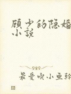 顾少的隐婚罪妻小说