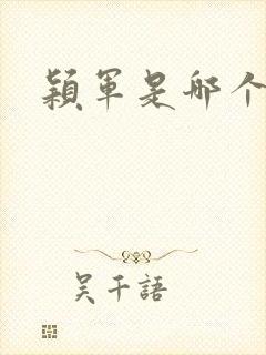 颖军是哪个军阀