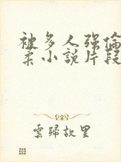 被多人强伦的小柔小说片段