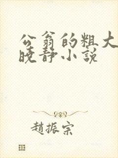 公翁的粗大放进晓静小说