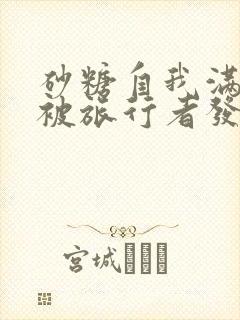 砂糖自我满足时被旅行者发现小说