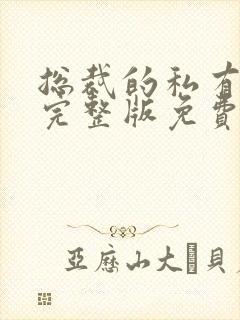 总裁的私有宝贝完整版免费阅读