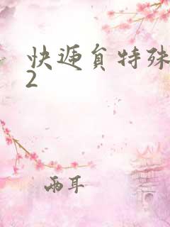 快递员特殊待遇2