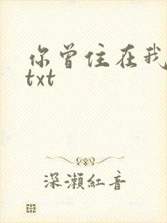 你曾住在我心上txt