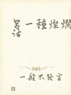 另一种灿烂的生活