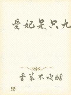 爱妃是只九尾猫