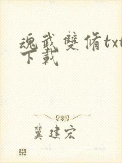 魂武双修txt下载