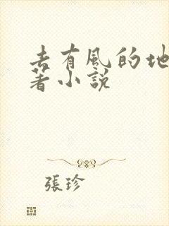 去有风的地方原著小说
