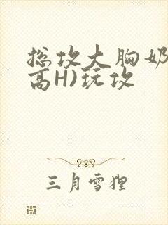 总攻大胸奶汁(高H)玩攻