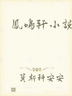 凤鸣轩小说