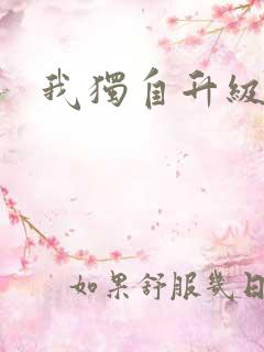 我独自升级小说