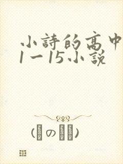 小诗的高中日记1一15小说