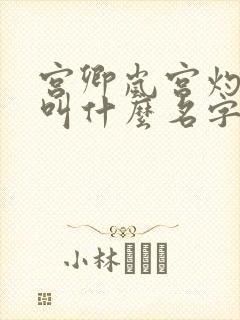 宫卿岚宫灼小说叫什么名字