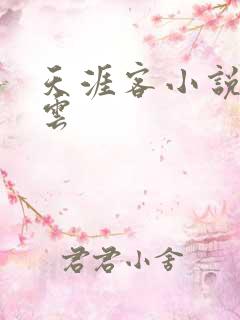 天涯客小说百度云