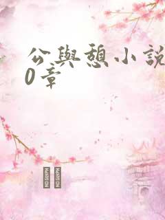 公与憩小说400章