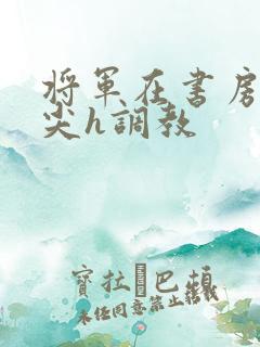 将军在书房含乳尖h调教