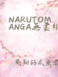 NARUTOMANGA无尽纲手