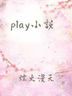play小说