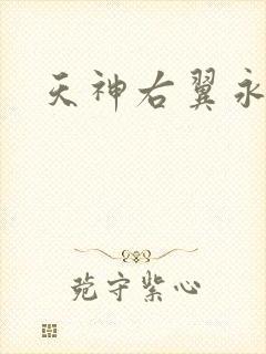 天神右翼永恒