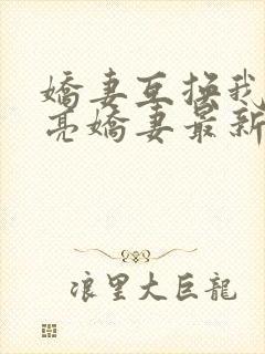 娇妻互换我的漂亮娇妻最新章节