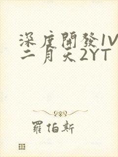 深度开发1V3二月天2YT