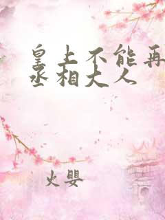 皇上不能再进了丞相大人