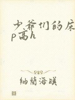 少爷们的床奴np高h