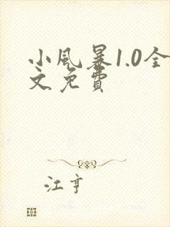 小风暴1.0全文免费