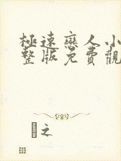 极速恋人小说完整版免费观看