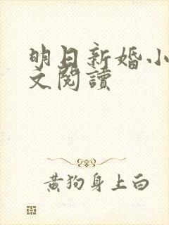 明日新婚小说全文阅读