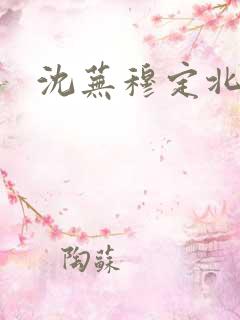 沈芜穆定北小说