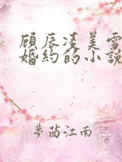 顾辰凌美雪五份婚约的小说名字叫什么