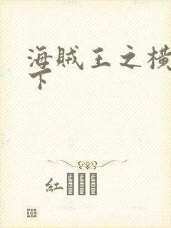 海贼王之横行天下