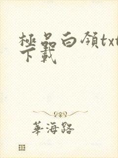 极品白领txt下载