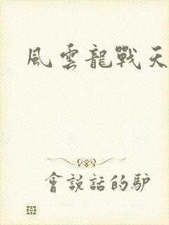 风云龙战天下