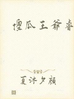 傻瓜王爷睿智妃