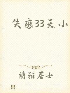 失恋33天小说